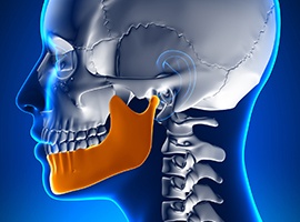 Animated jaw and skull bone used to explain T M J treatment
